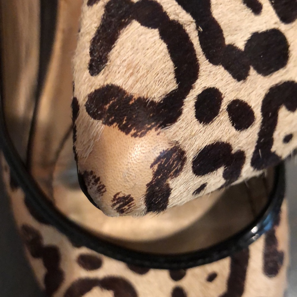 Leopard flats - Picture 7 of 8